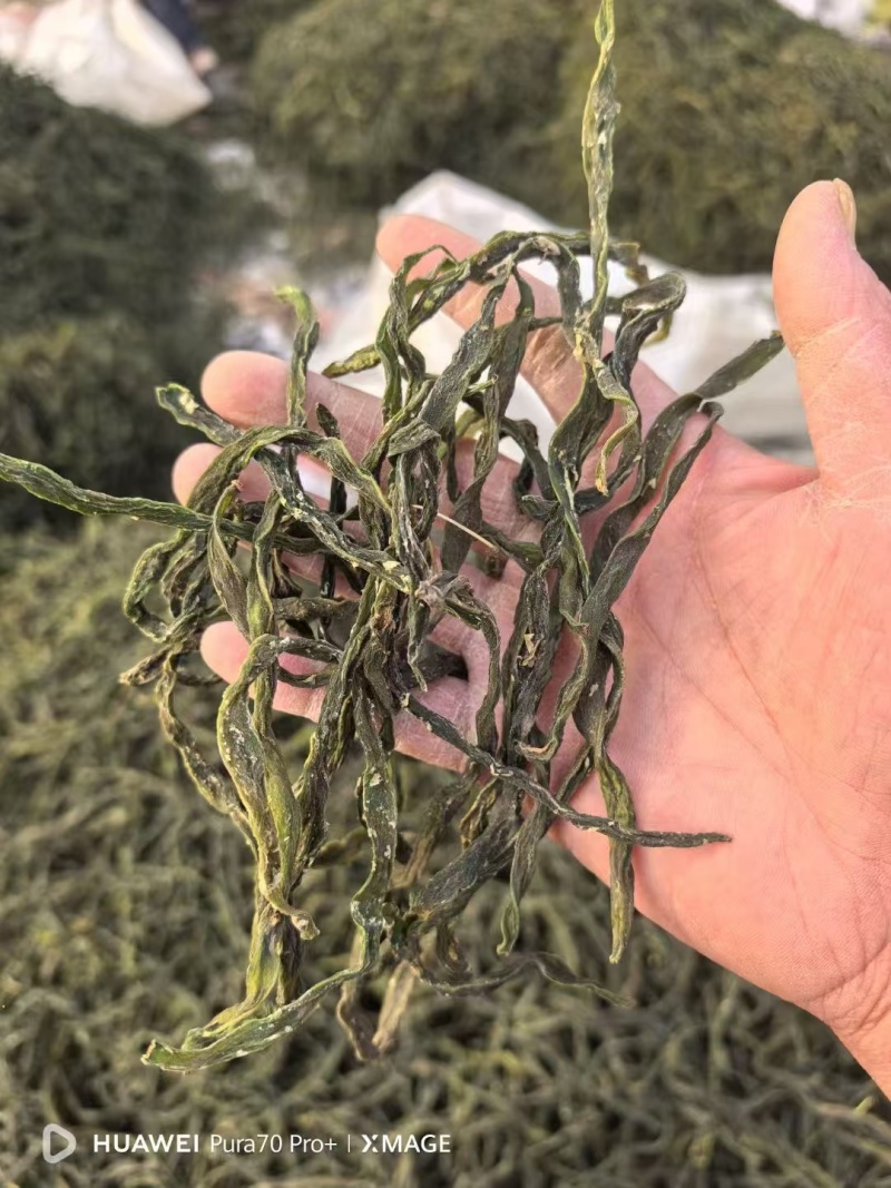 架豆王干豆角脱水干豆角一级二级三级规格齐全价格实惠欢迎
