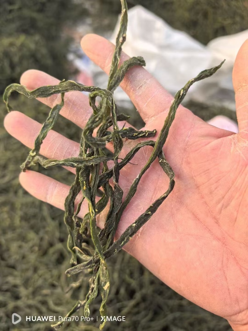 架豆王干豆角脱水干豆角一级二级三级规格齐全价格实惠欢迎