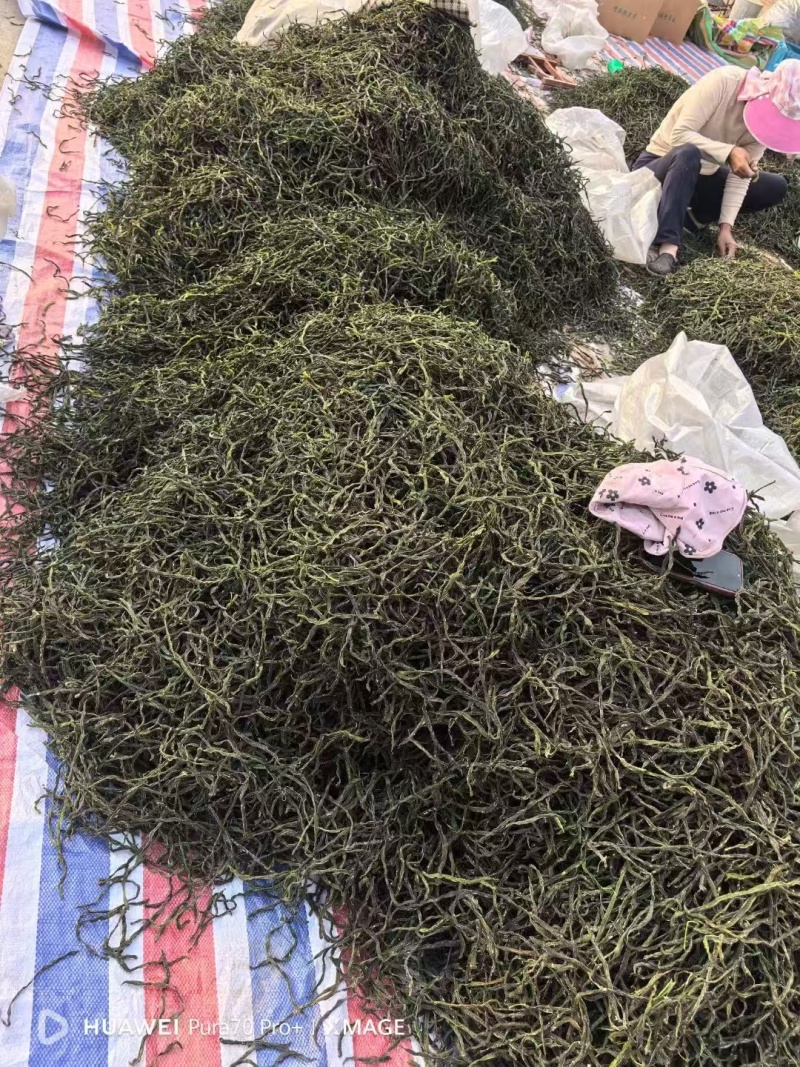架豆王干豆角脱水干豆角一级二级三级规格齐全价格实惠欢迎