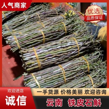 云南石斛鲜条，铁皮石斛，红杆英茂鲜条，包邮到家，欢迎联系