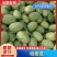 海南玉菇大量上市，承接电超一件代发及市场供货等