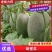 【实力供货】海南晓蜜25号承接大中小商超团购一件代发档口