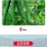20%乙酸铜有机铜杀菌剂防治根腐病病毒特效烂根黄瓜瓦瓦叶