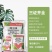 25%噻虫嗪水稻飞虱盲蝽蟓杀虫剂韭蛆药噻虫嗪稻飞虱盲蝽蟓