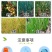 25%噻虫嗪水稻飞虱盲蝽蟓杀虫剂韭蛆药噻虫嗪稻飞虱盲蝽蟓