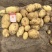 实验1号土豆精品土豆产地直供品质保障量大从优