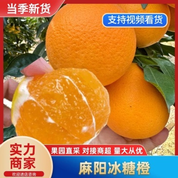 【现货现发】麻阳冰糖橙产地一手货源爆甜多汁量大从优电联