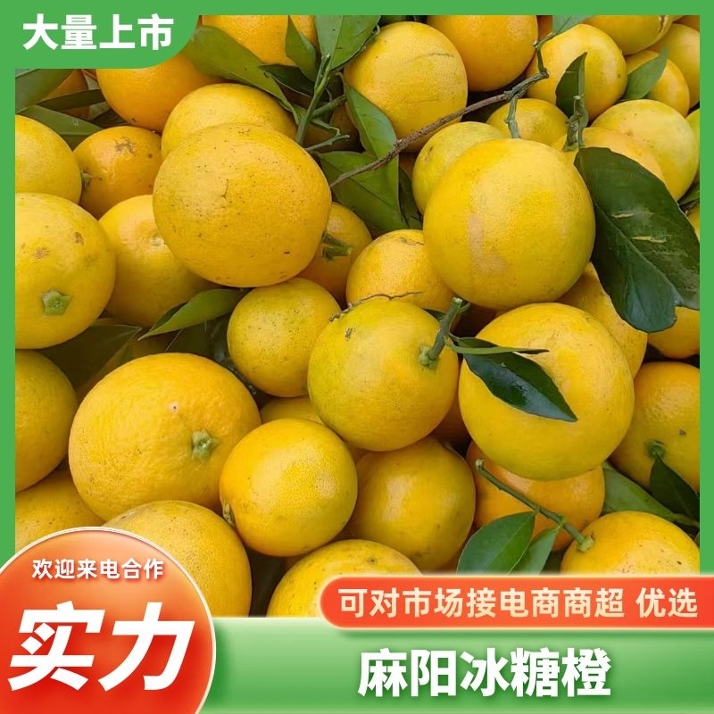 【好货推荐】麻阳冰糖橙，产地现摘现发量大从优价格电联洽谈