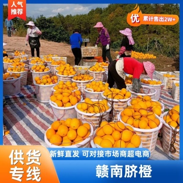 赣南脐橙电商一件代发一条龙服务接抖音淘宝京东社区团购