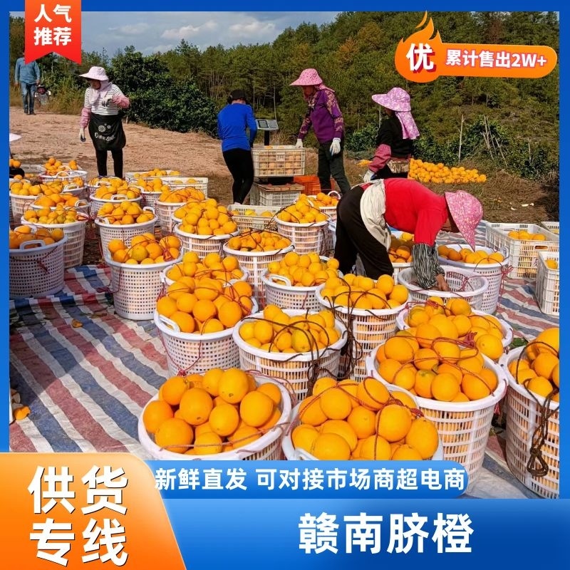 赣南脐橙电商一件代发一条龙服务接抖音淘宝京东社区团购