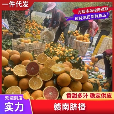 赣南脐橙公司福利产地承接抖音淘宝京东社区团购代发日发万斤