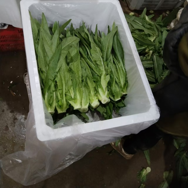 油麦菜