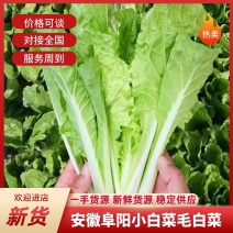 太和县毛白菜小白菜产地直发货源充足对接批发商商超