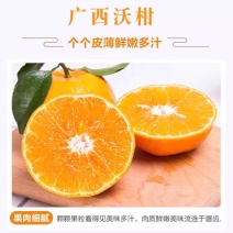 广西精品沃柑大量上市新鲜水果当季承接电商一件代发