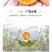 广西精品沃柑大量上市新鲜水果当季承接电商一件代发