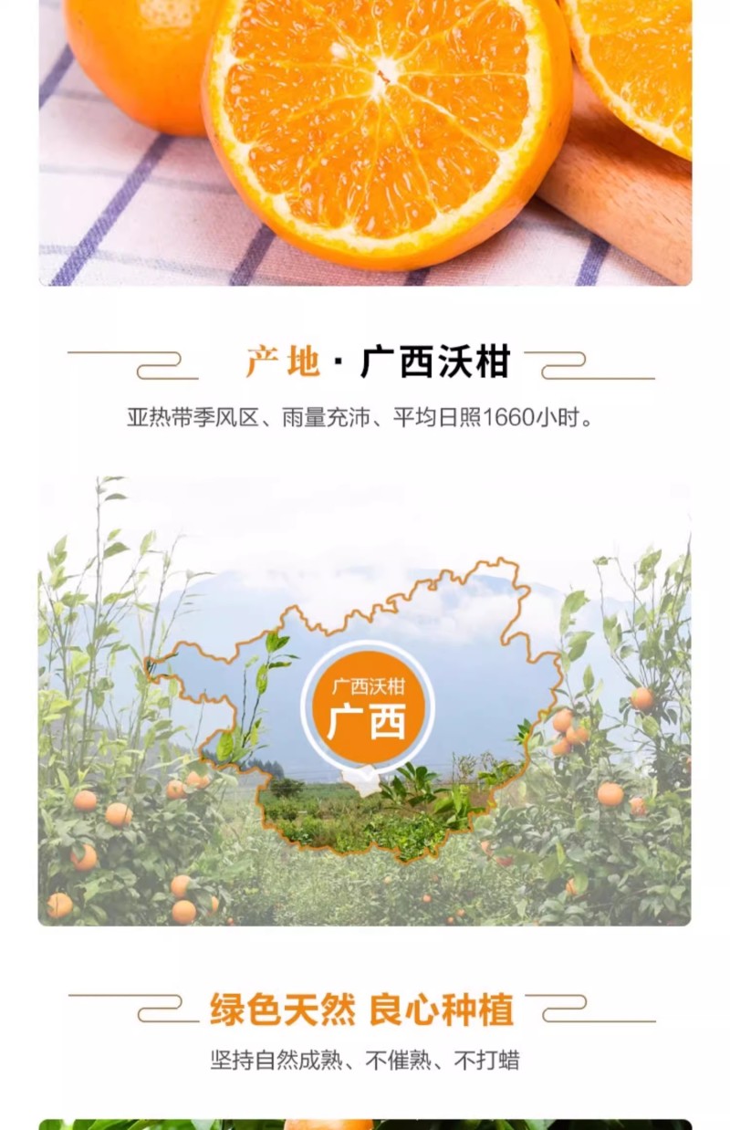 广西精品沃柑大量上市新鲜水果当季承接电商一件代发