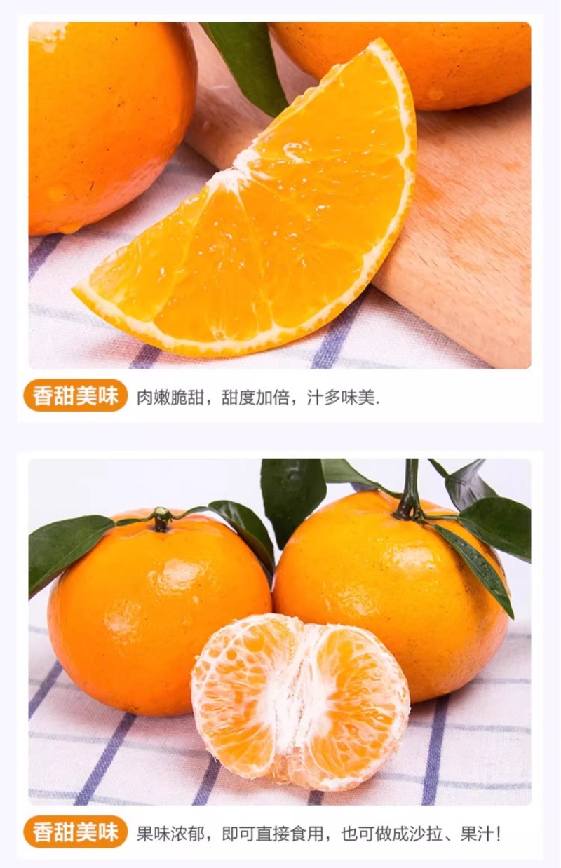 广西精品沃柑大量上市新鲜水果当季承接电商一件代发