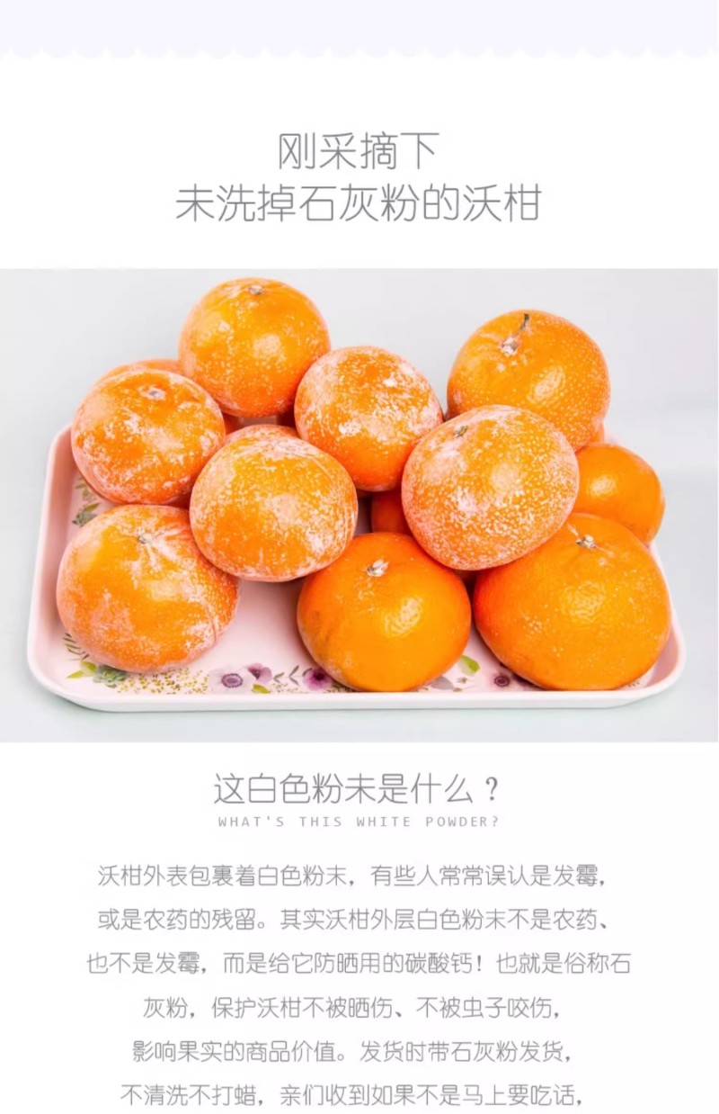 广西精品沃柑大量上市新鲜水果当季承接电商一件代发