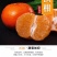 广西精品沃柑大量上市新鲜水果当季承接电商一件代发
