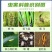 30%噻虫嗪水稻小麦稻飞虱蚜虫白粉虱农药杀虫剂专用正品