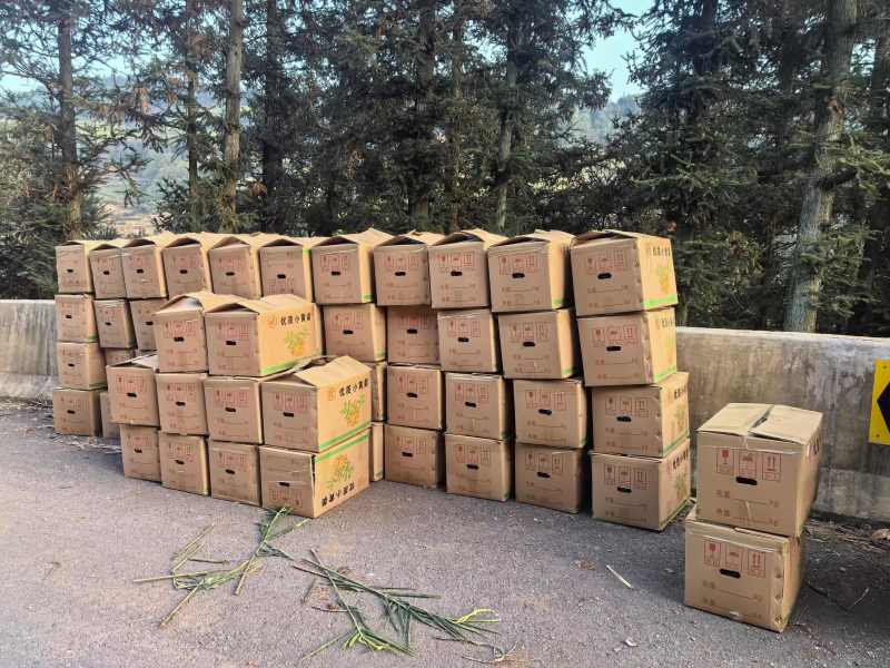 罗平山地小黄姜，一手货源，价格便宜，可视频看货