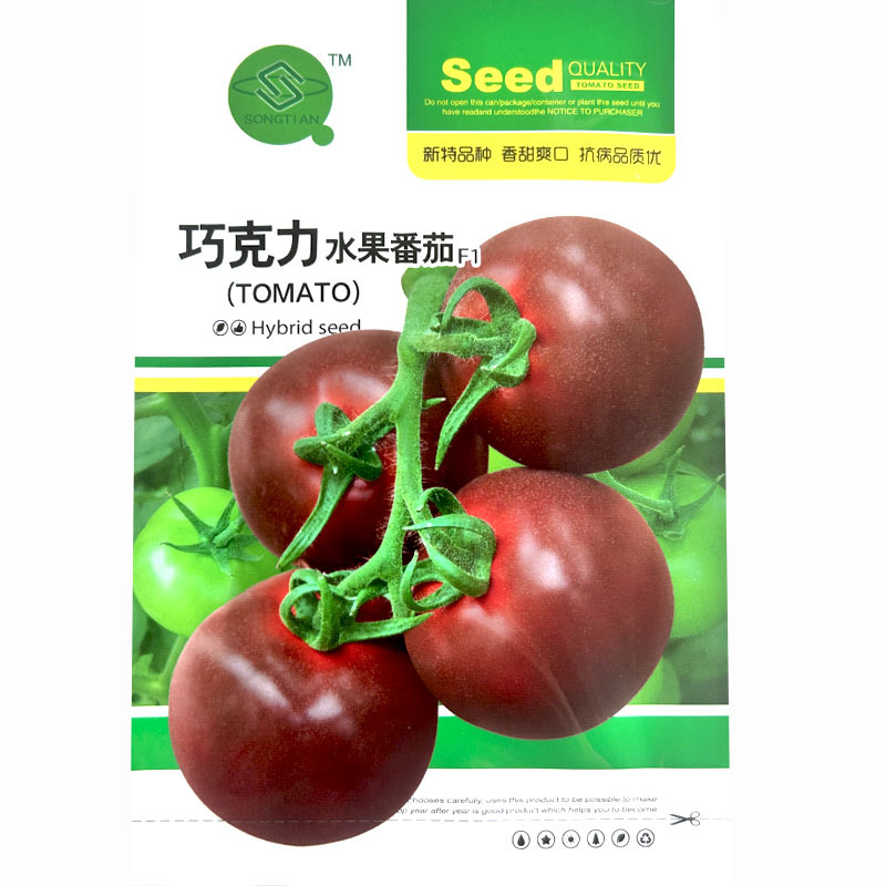 巧克力水果番茄种子早熟粉果糖度高杂交抗病春秋种植