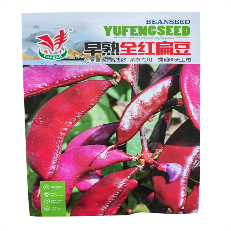 早熟全红扁豆种子耐热红眉豆种子结荚多高产梅豆种子