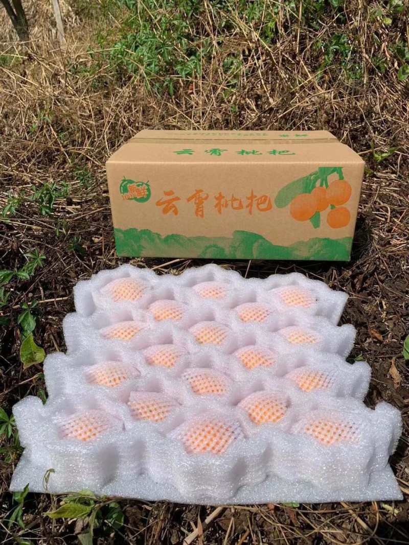 福建云霄枇杷一件代发产地直发一手货源对接各大电商平台