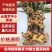 云南罗平正宗小黄姜，产地直发，量大从优，品质保证，欢迎选购