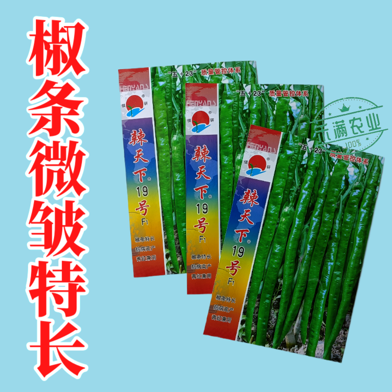 辣天下19辣椒椒种子高产早熟青辣椒微辣种籽辣椒超长种子大