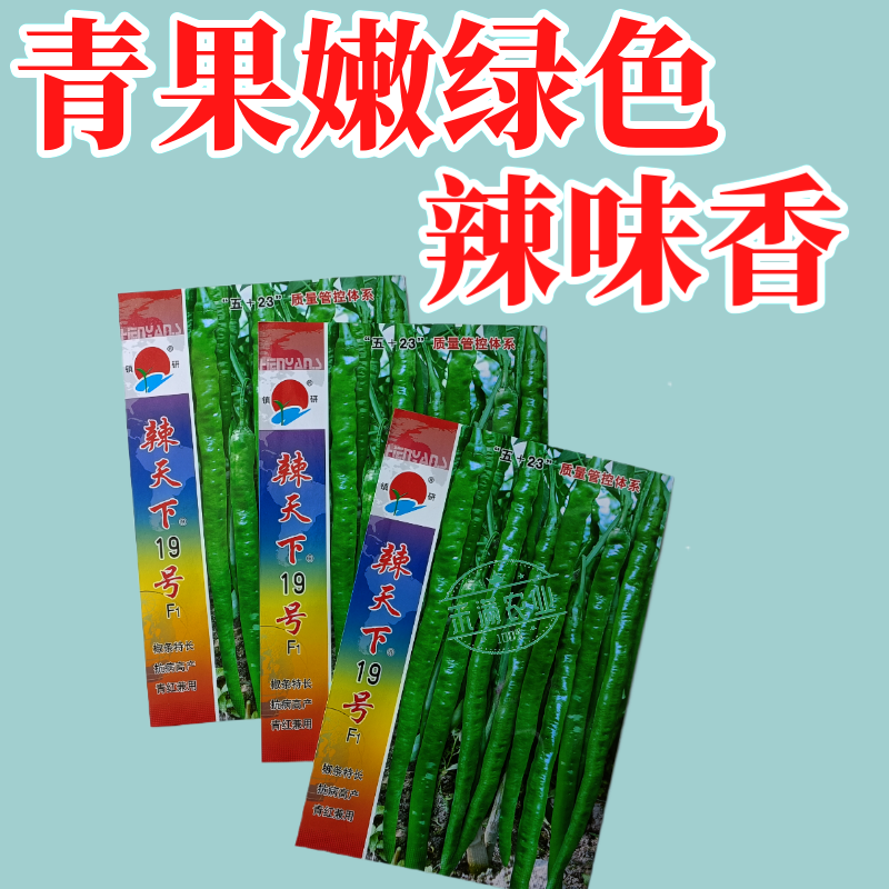 辣天下19辣椒椒种子高产早熟青辣椒微辣种籽辣椒超长种子大