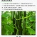 50%福美双白粉病霜霉病根腐病白腐叶斑炭疽病果树蔬菜花卉