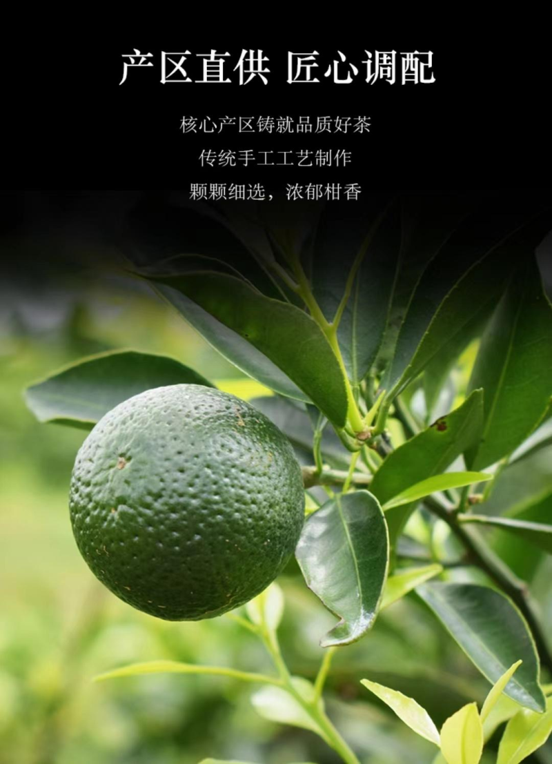 浙江宁波小青柑品质保证诚信经营欢迎采购