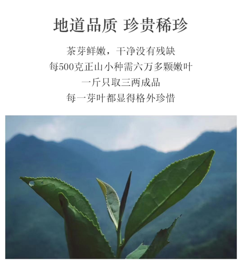 浙江宁波正山小种诚信经营品质保证欢迎采购