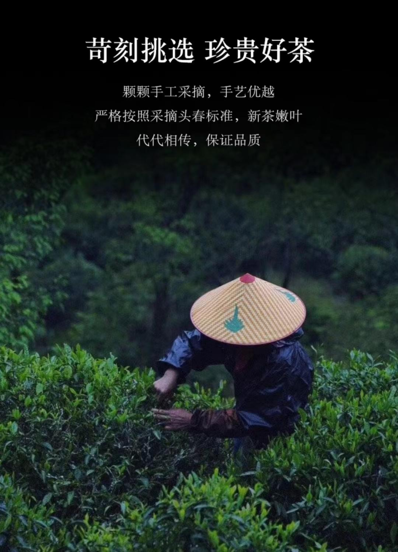 浙江宁波正山小种诚信经营品质保证欢迎采购
