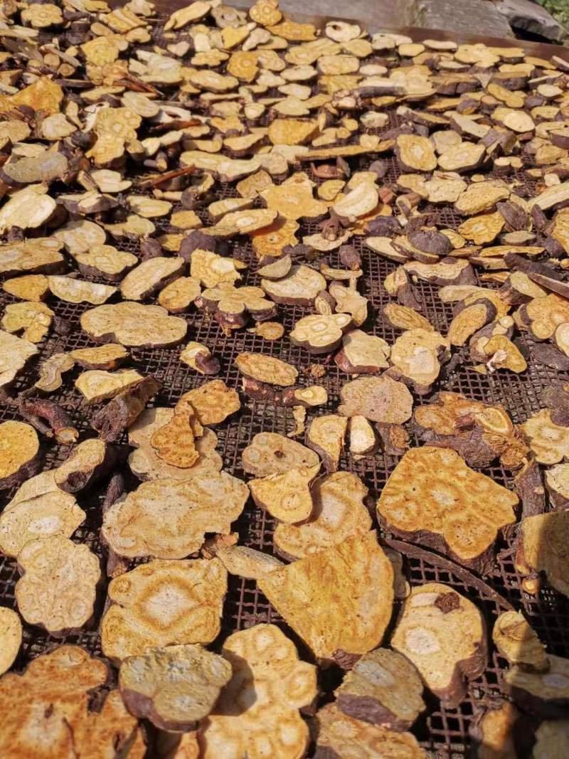 精品何首乌产地一手货源品质保障货量充足物美价廉
