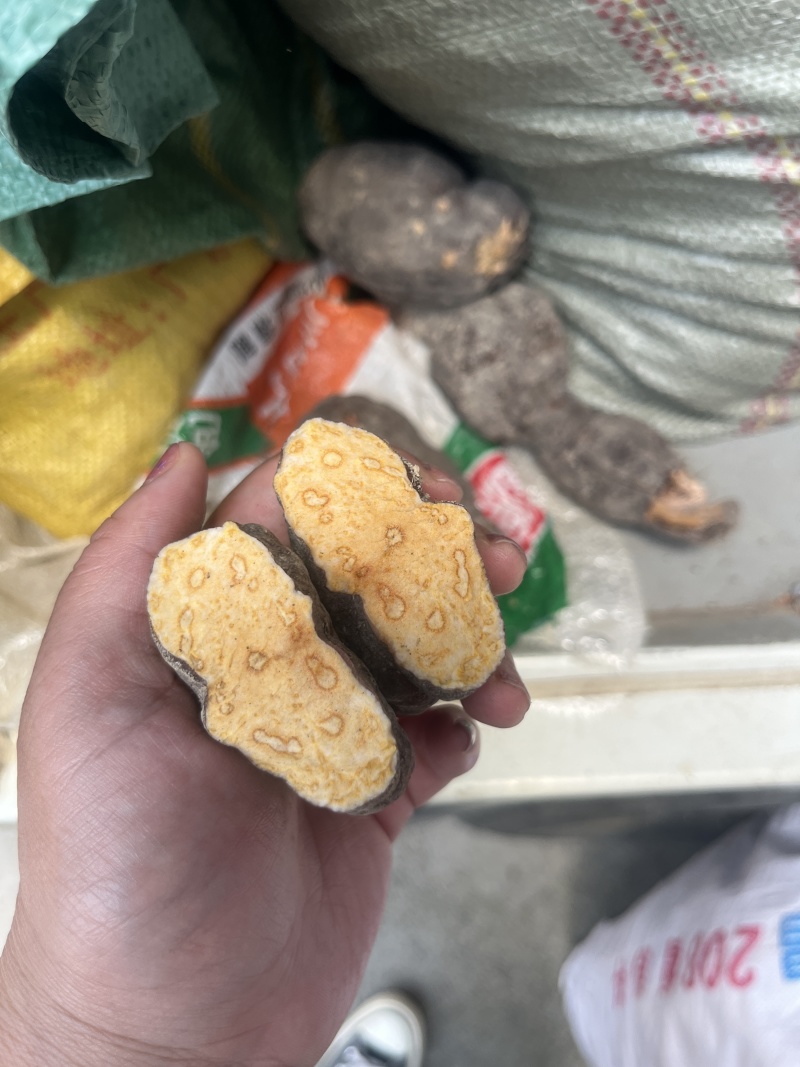 精品何首乌产地一手货源品质保障货量充足物美价廉