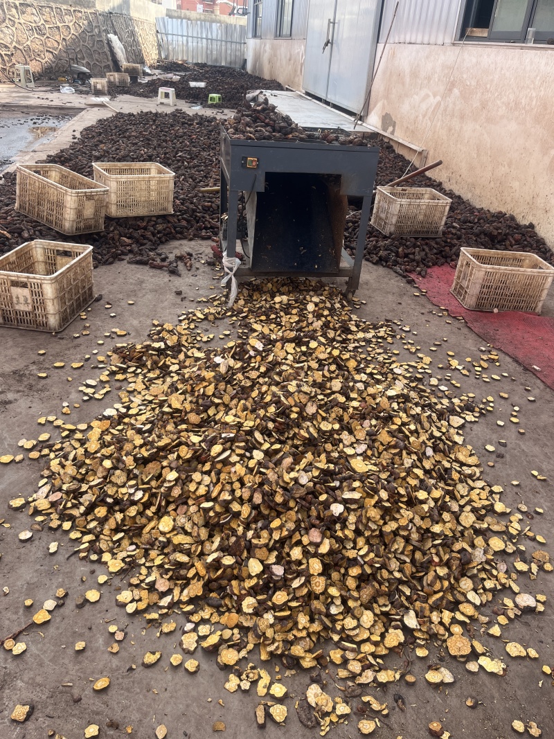 精品何首乌产地一手货源品质保障货量充足物美价廉