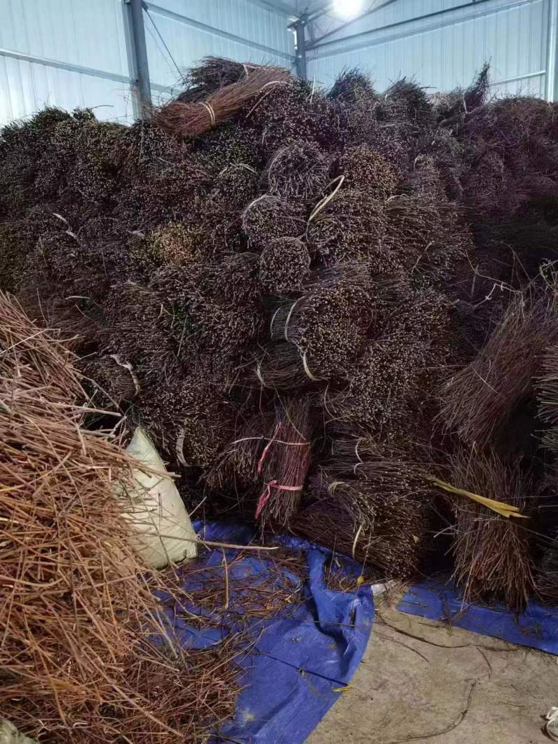 精品钩藤产地直发量大从优货源充足价格美丽欢迎咨询