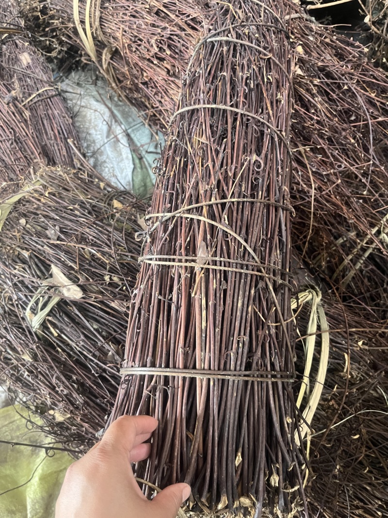 精品钩藤产地直发量大从优货源充足价格美丽欢迎咨询