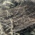 精品钩藤产地直发量大从优货源充足价格美丽欢迎咨询