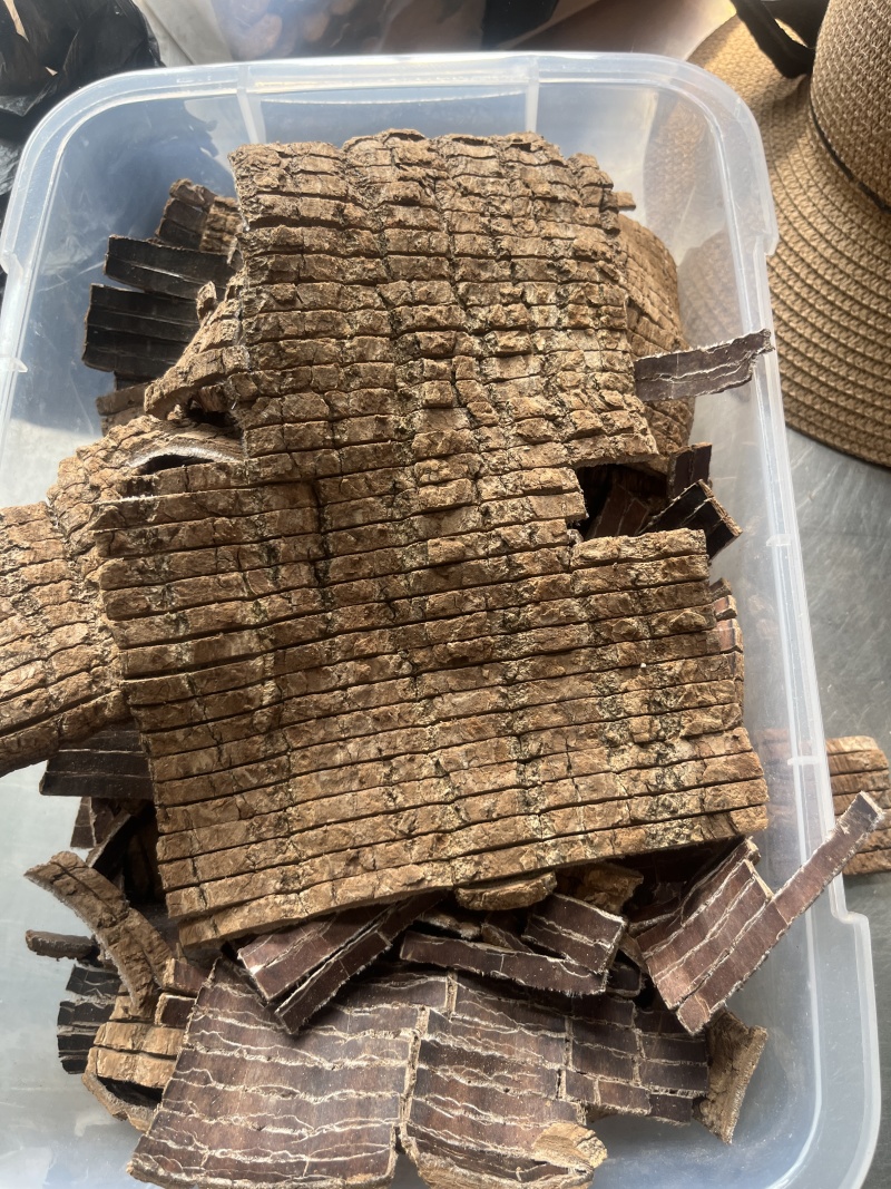 精品杜仲，杜仲丁，杜仲丝，骨肉相连一手货源品质保障