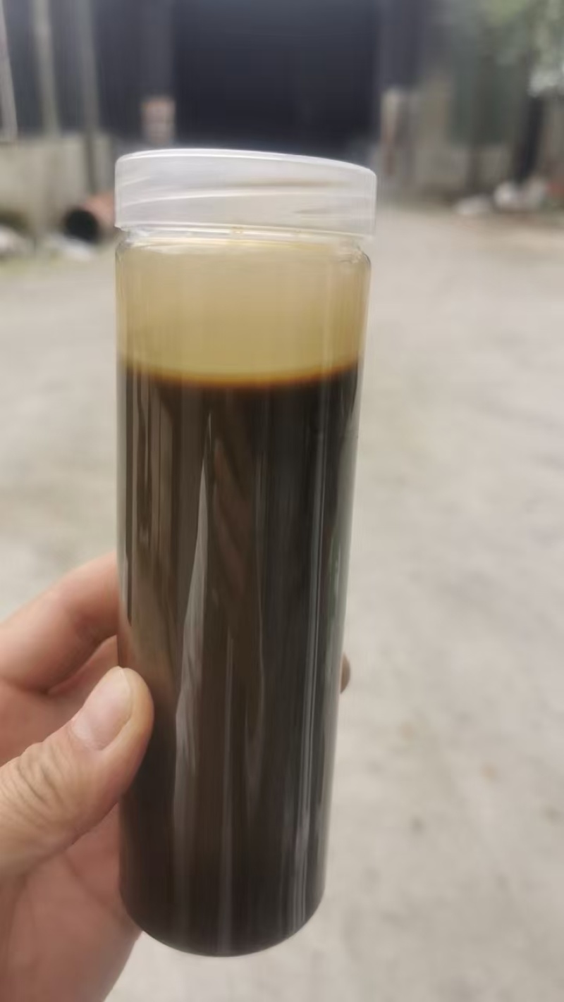 黑水虻虫油家鸡饲料鱼饲料虾饲料宠物饲料添加