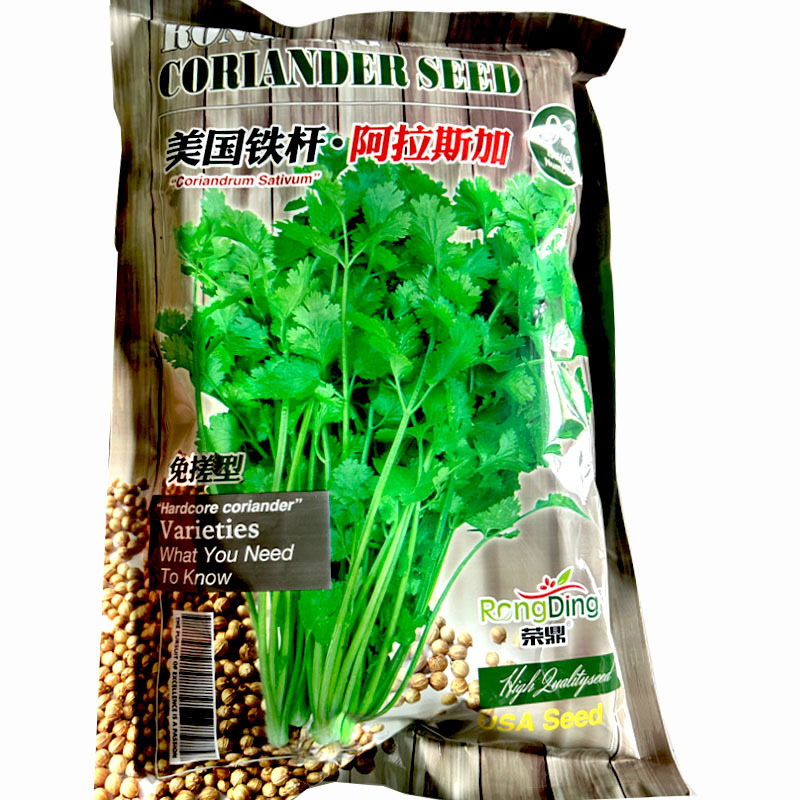美国铁杆香菜种子阿拉斯加四季全能香菜大叶反季节栽培