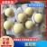 河北皇冠梨，一手货源规格齐全品质保障对接商超批发