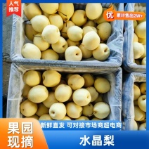 雪梨产地冷库直出，规格齐全颜色嫩亮