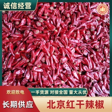 山西应县北京红干辣椒大量上市，颜色好，椒形大，质量高。