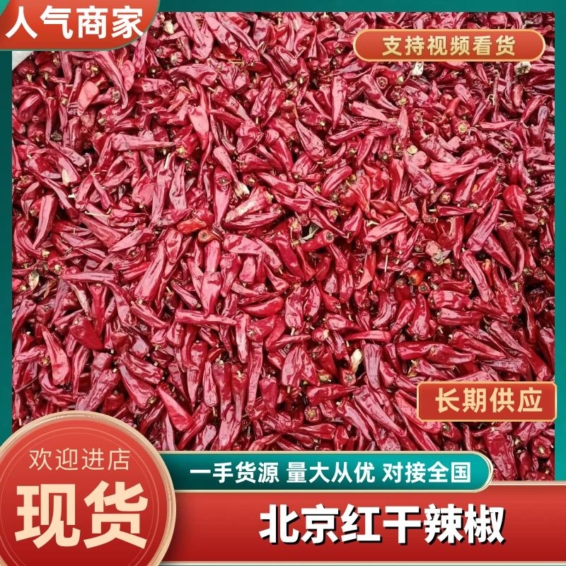 山西应县剪把北京红干辣椒大量上市，个头大，颜色好，椒形大