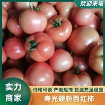 寿光硬粉西红柿产地一手货源对接电商批发团购量大从优