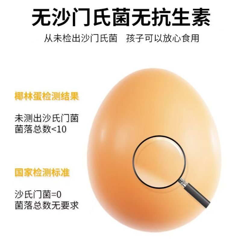 精品土鸡蛋，养鸡场一手货源，品质保证，价格便宜